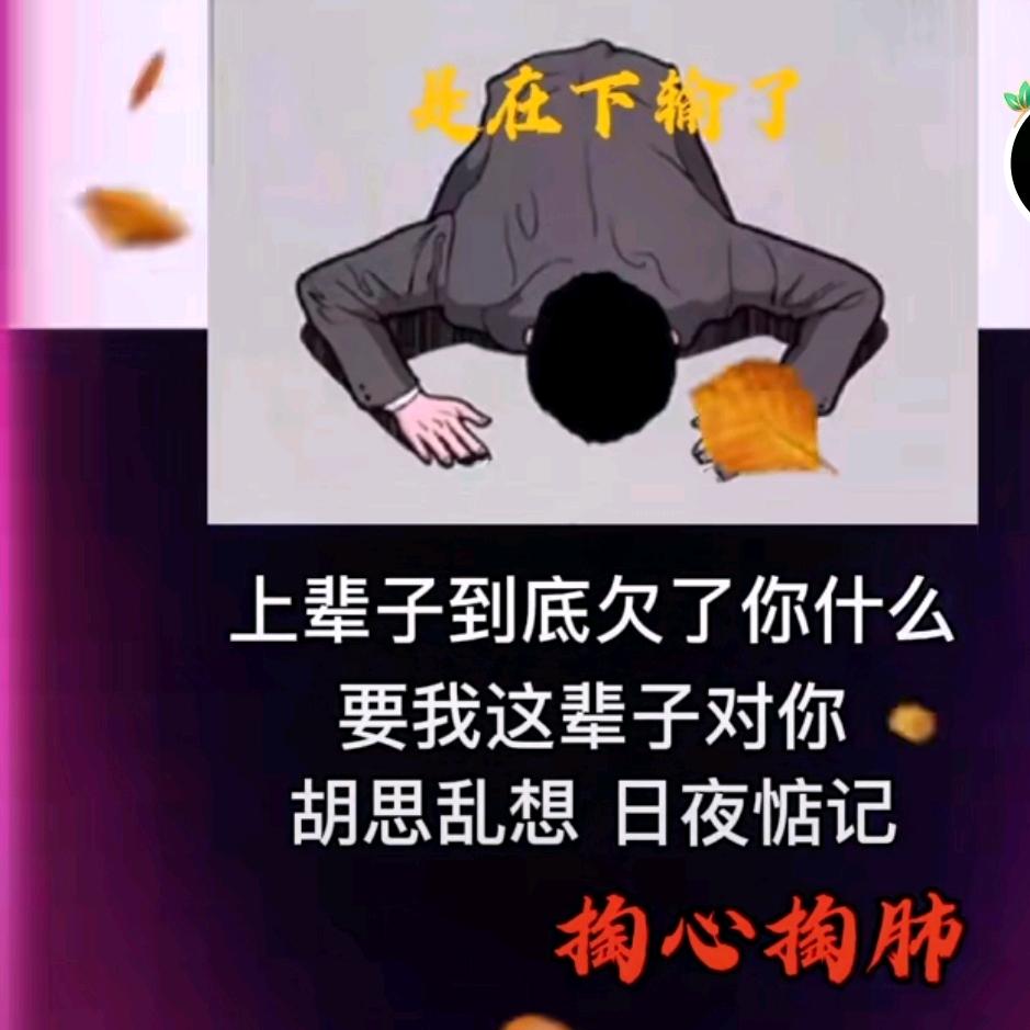 疯狂的闯进你世界