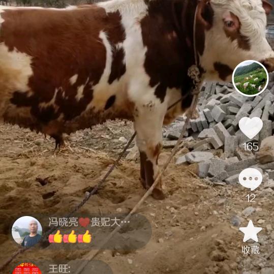 🦋ꦿ໊余生᭄🕊随心