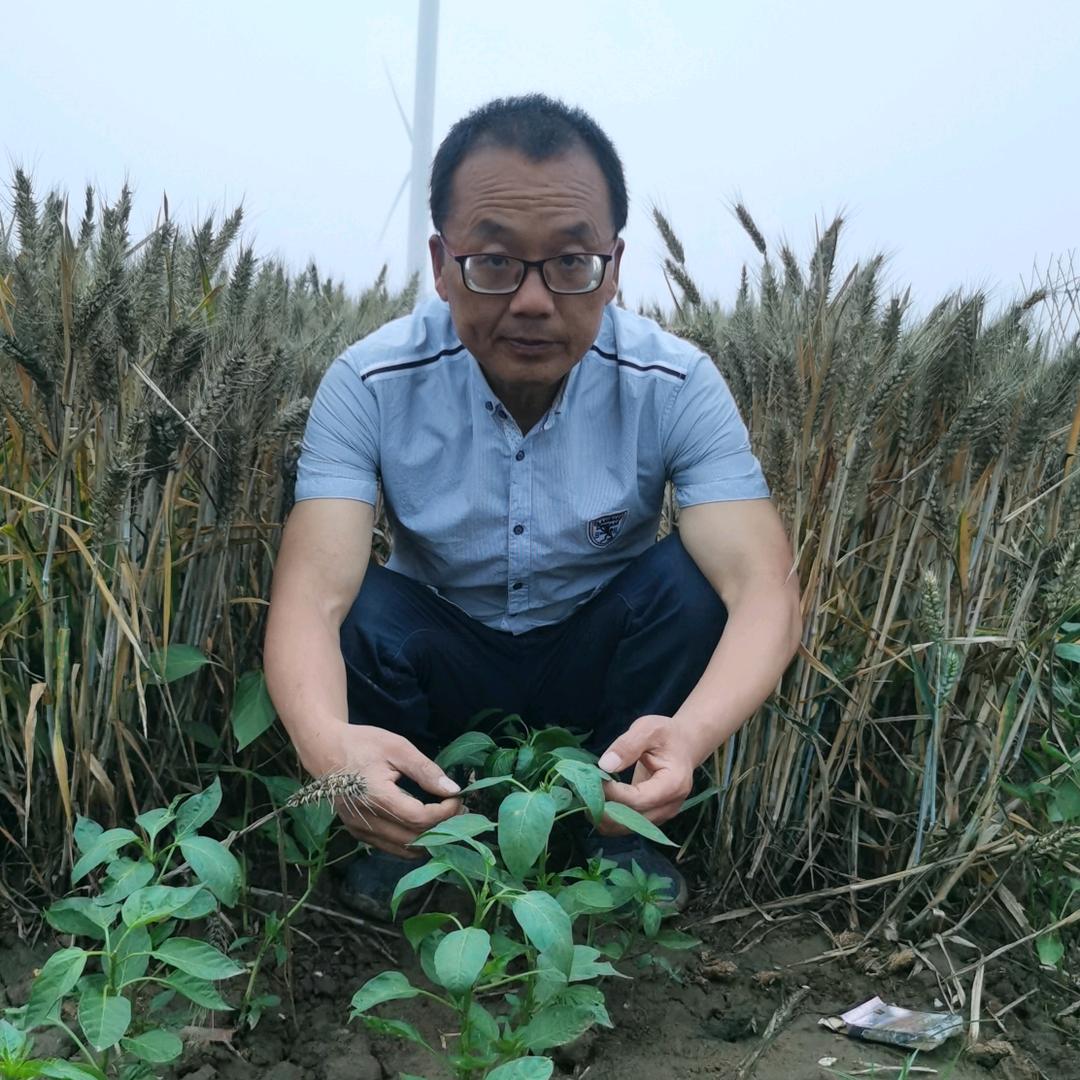 临颍县利平农资