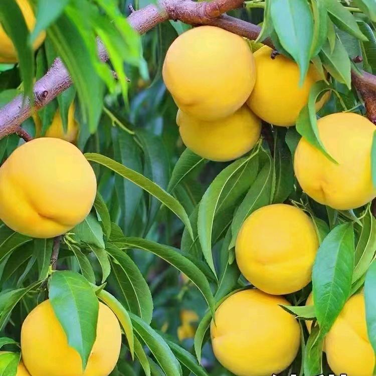 用户6518962661874快乐人生