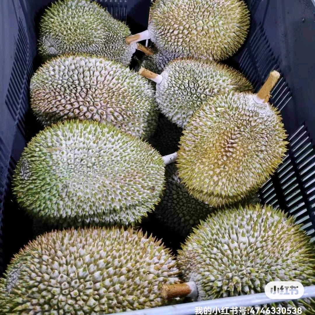 王渺渺