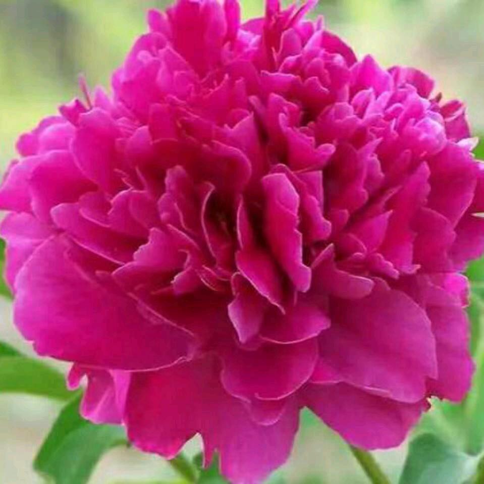 往后余生好好爱自己王丽华