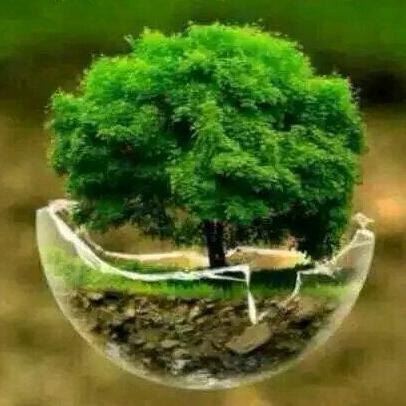 感恩的心🌹🌹🌹