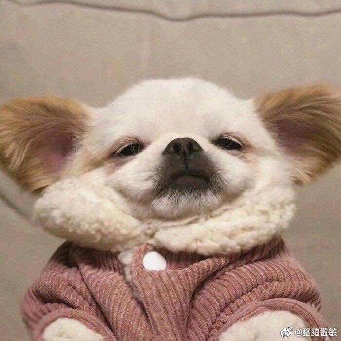 你头发乱了喔 .
