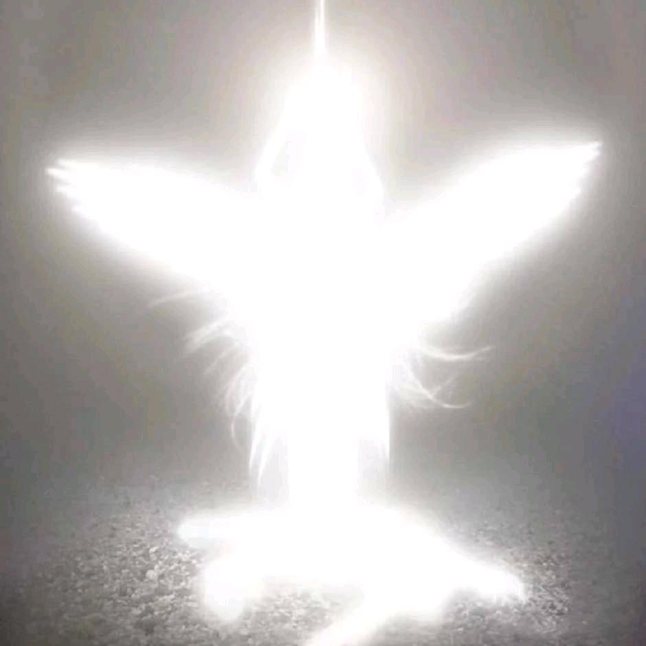 橙橙
