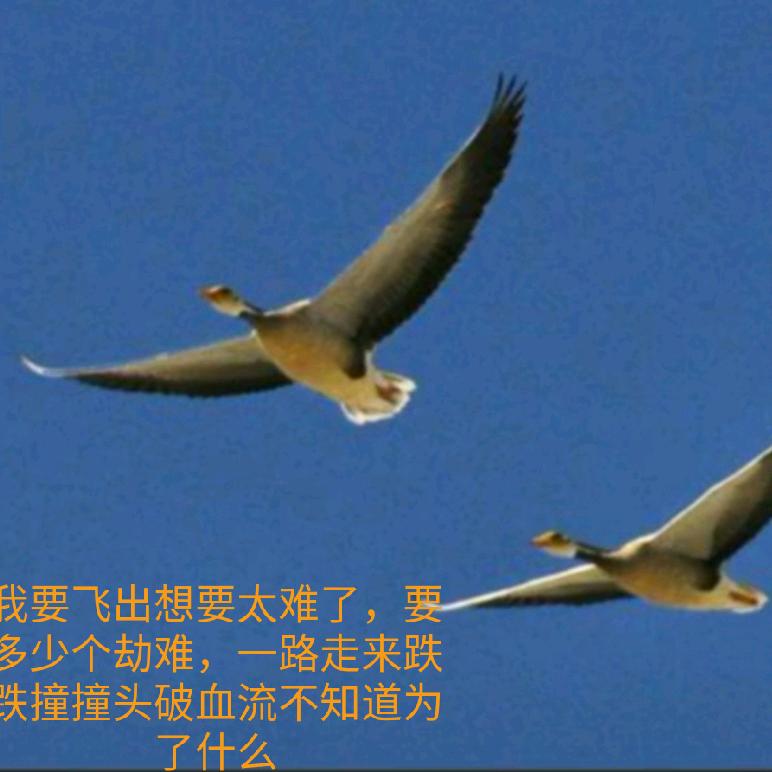 💞᭄ 人生路上᭄💞