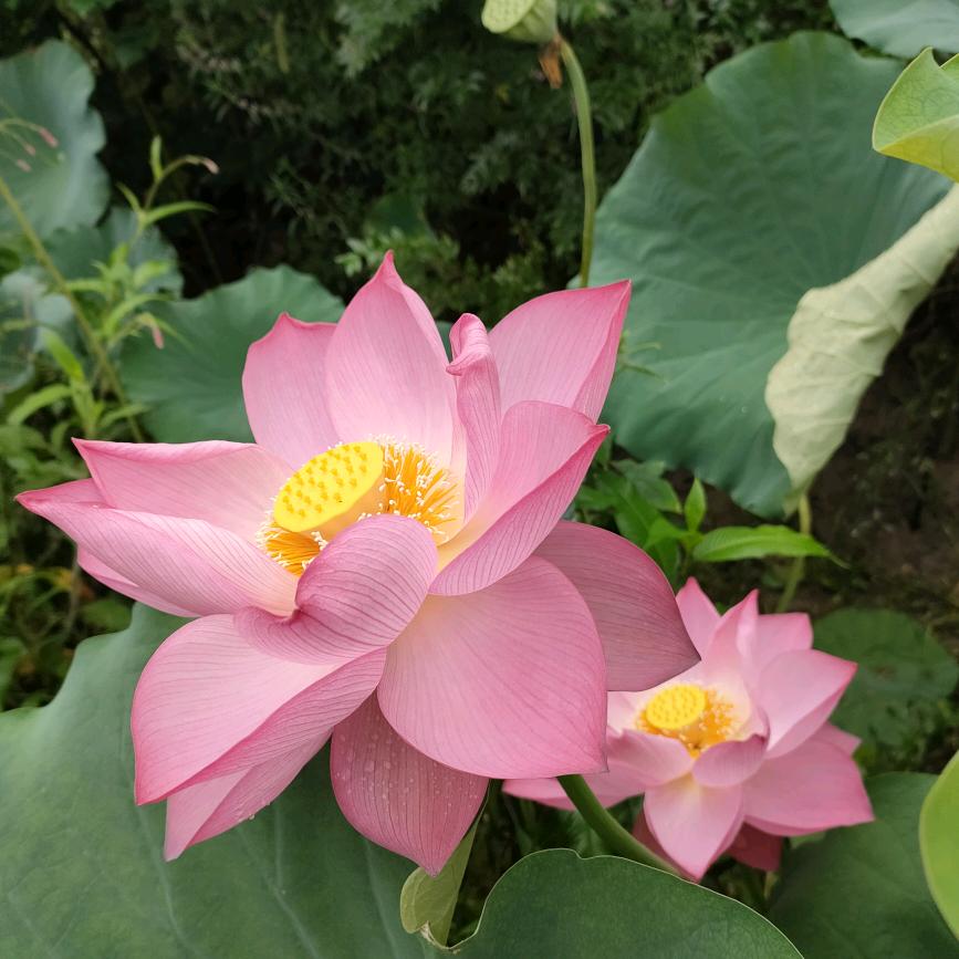 自由的风用户5335612745150