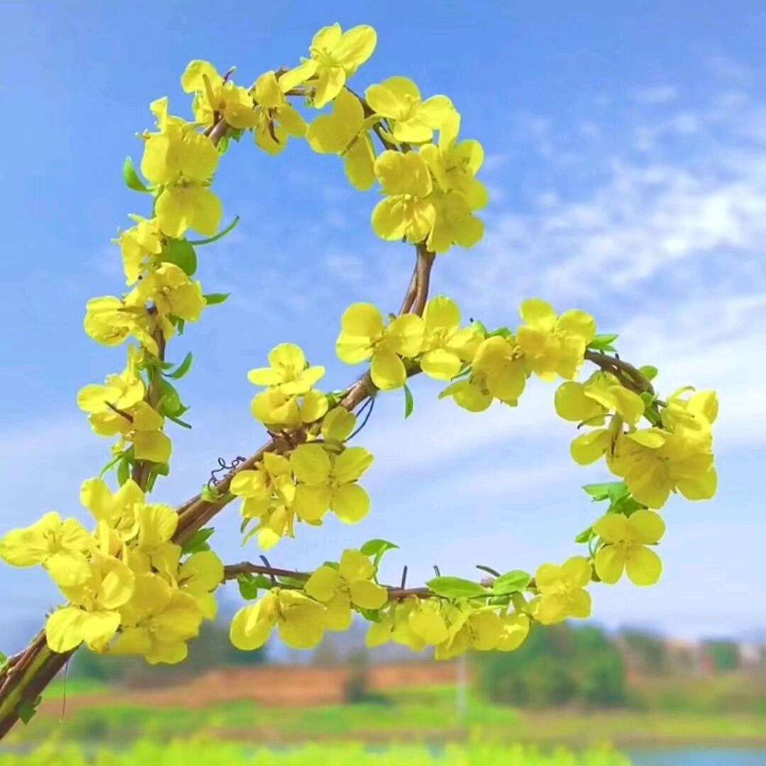 但愿人长久，千里共婵娟