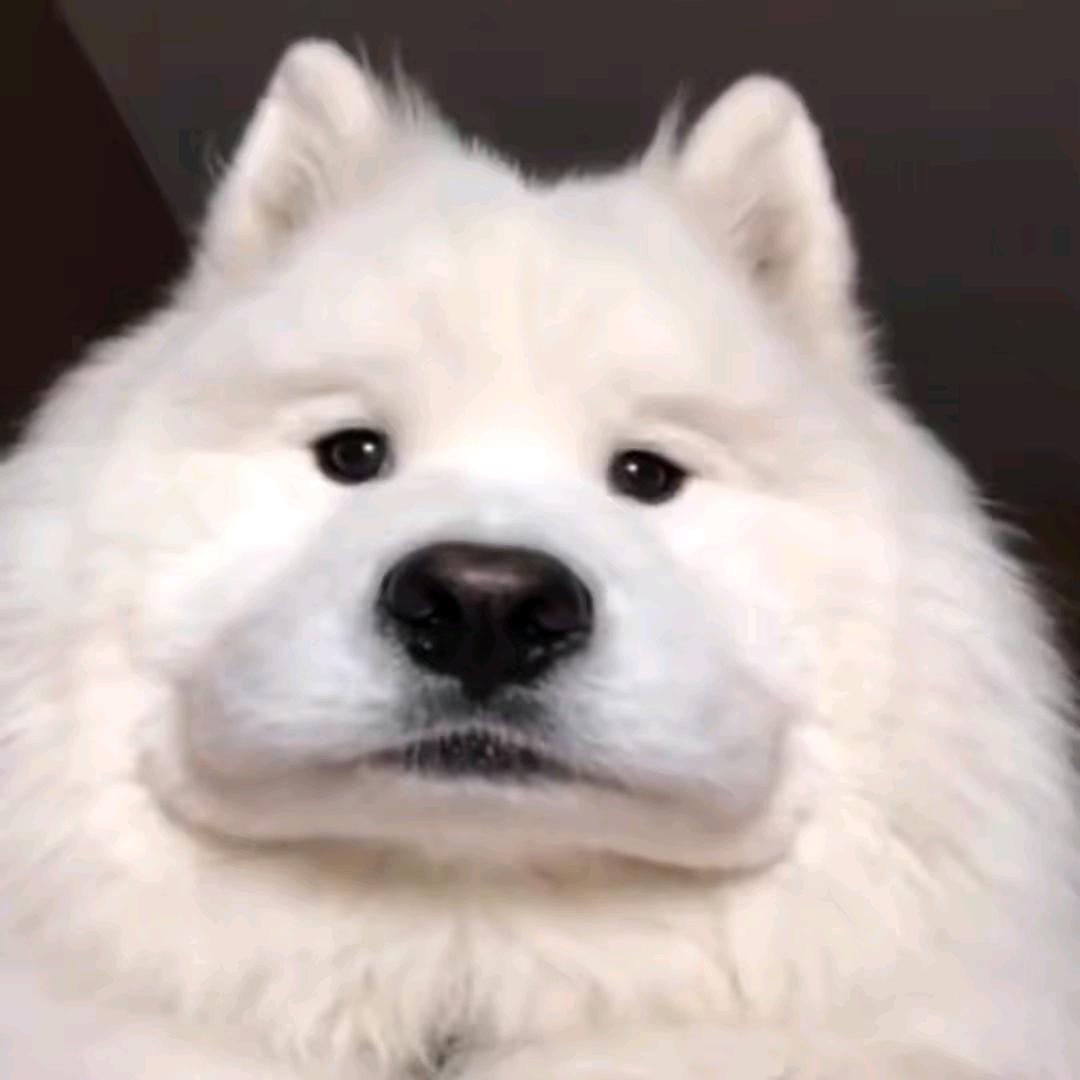 卒子