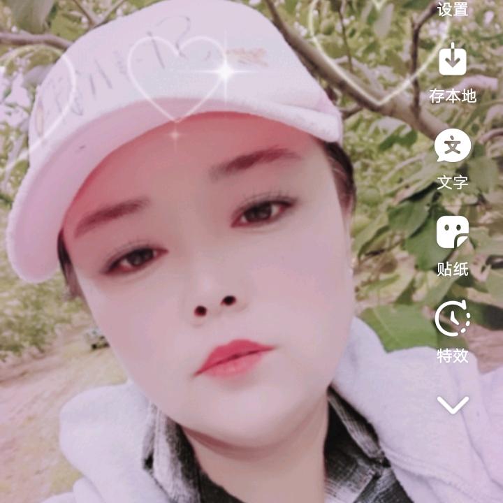 樱花树下的泪水