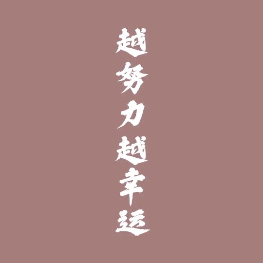 是小白啊