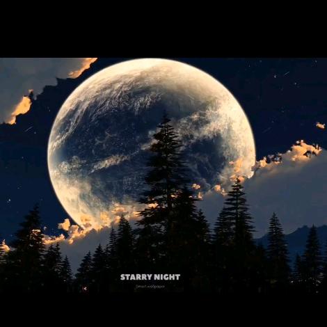 姐夫-118🌙