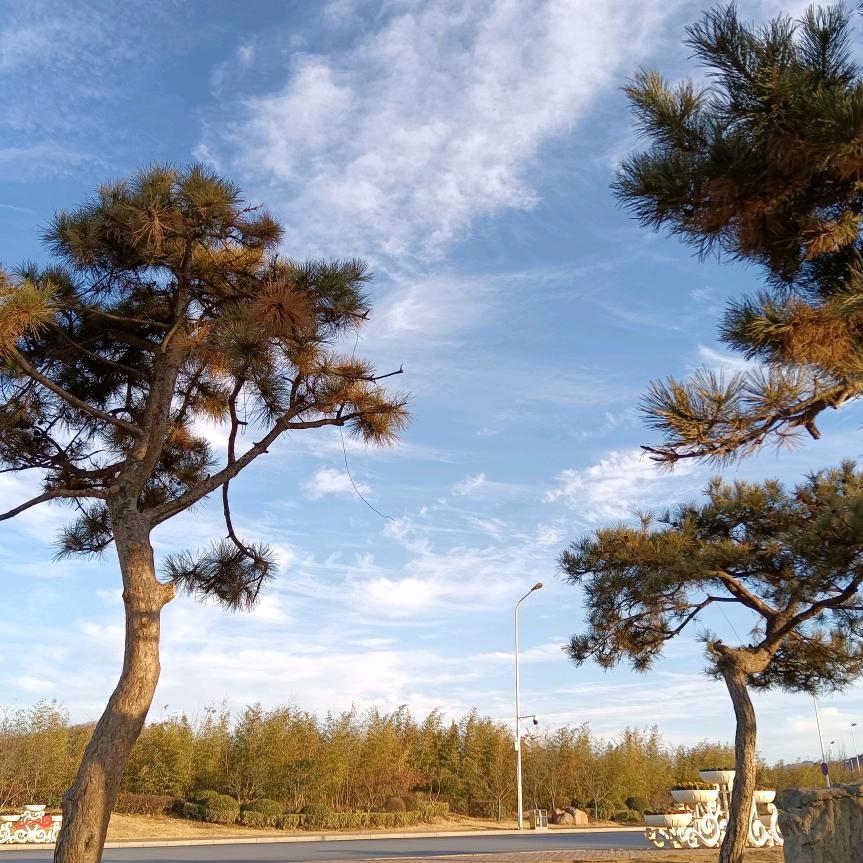 我就是我