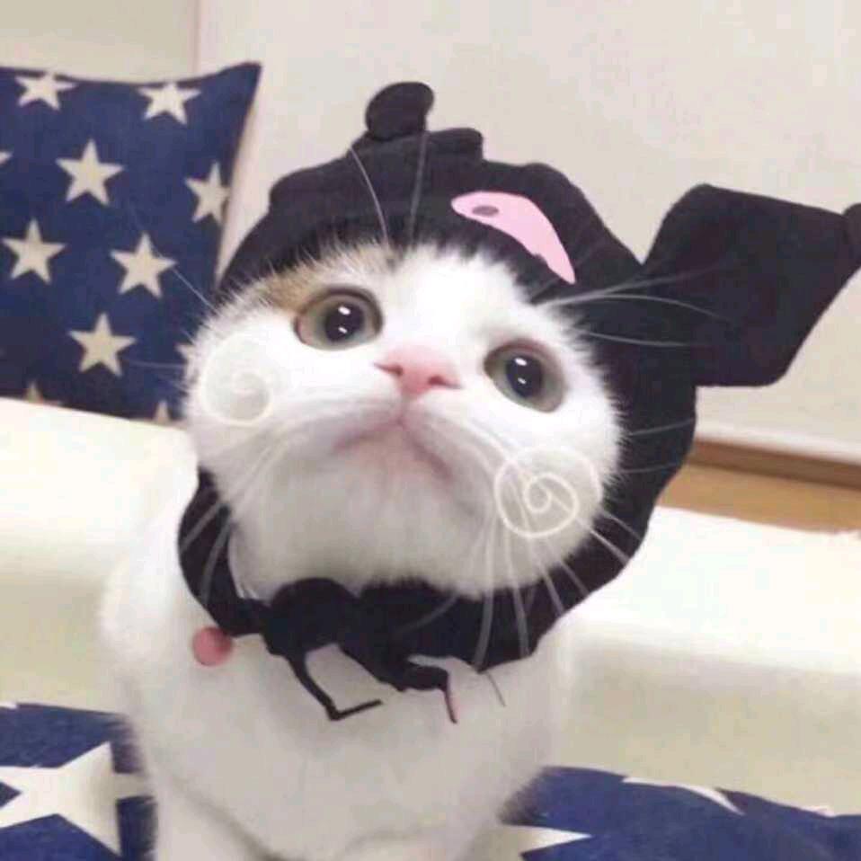 毒鸭𓅿𓅹汤