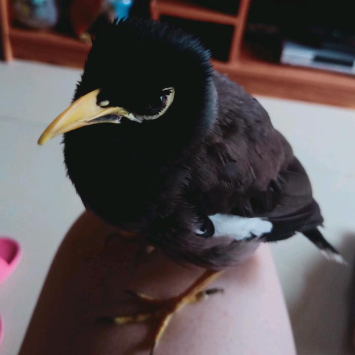 北渚