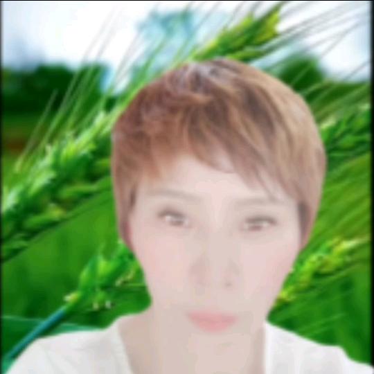 沃尔丰农资.喜玲(商品在橱窗查看)