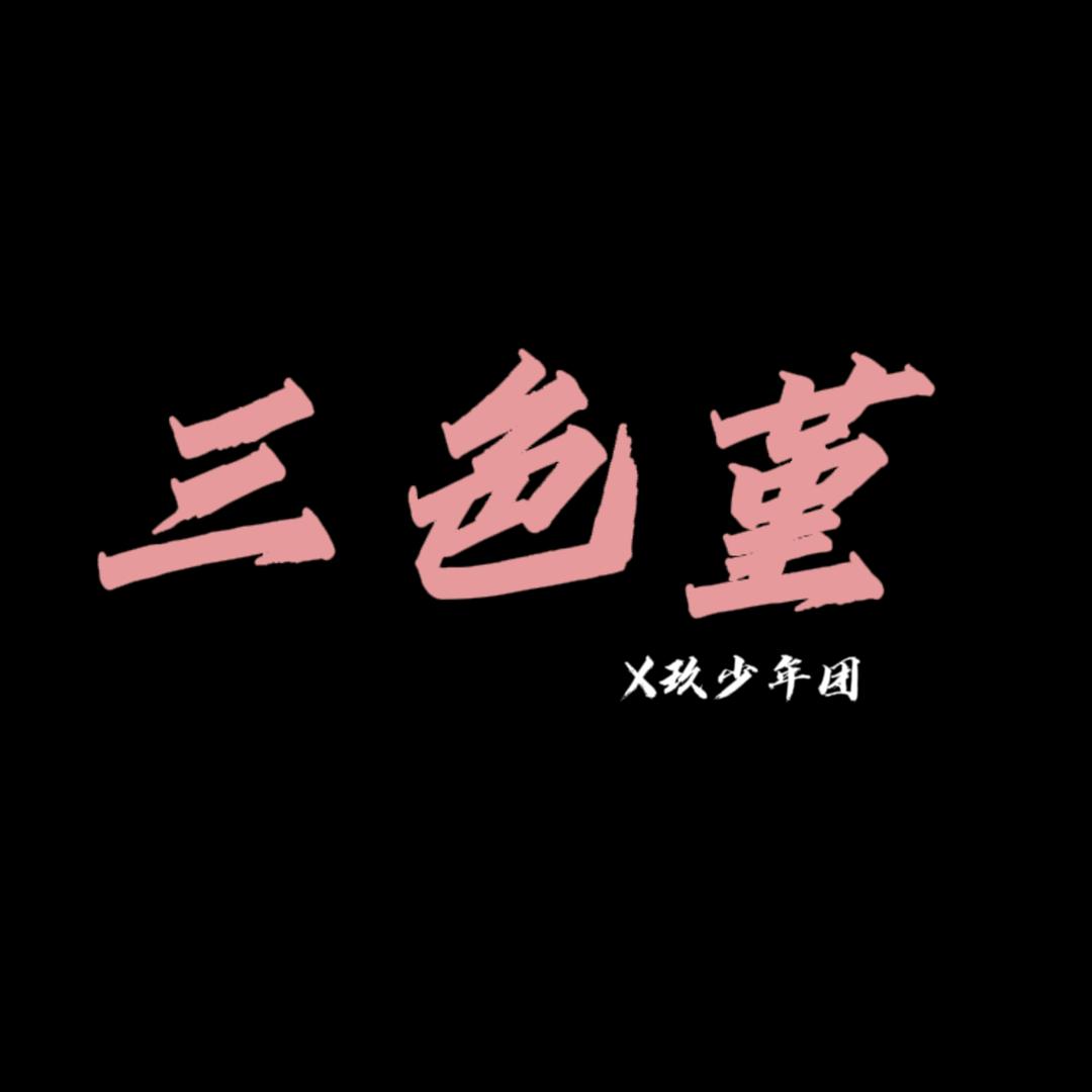 三色堇🌻🌹