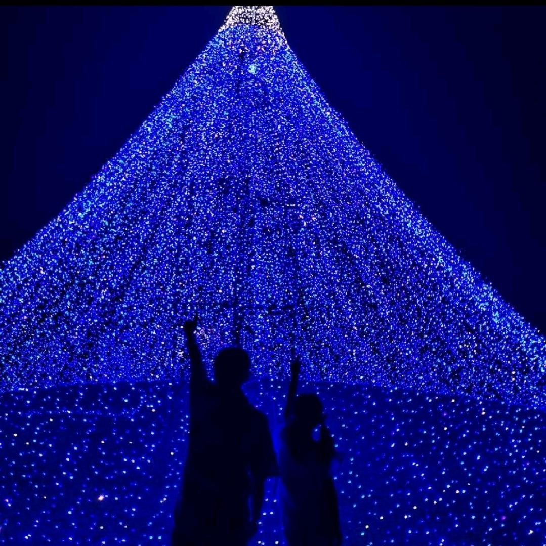 优雅的小公主💋💋