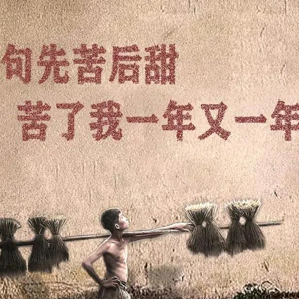 美羊羊懒羊羊