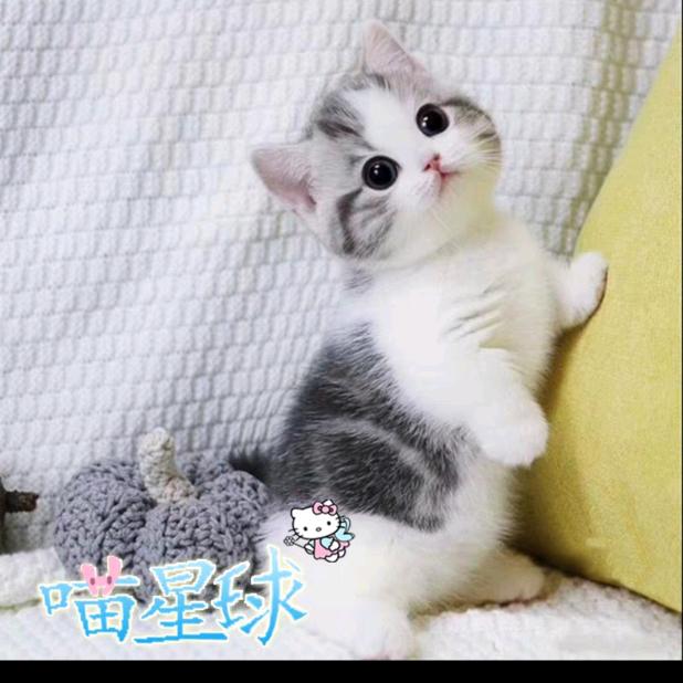 为何