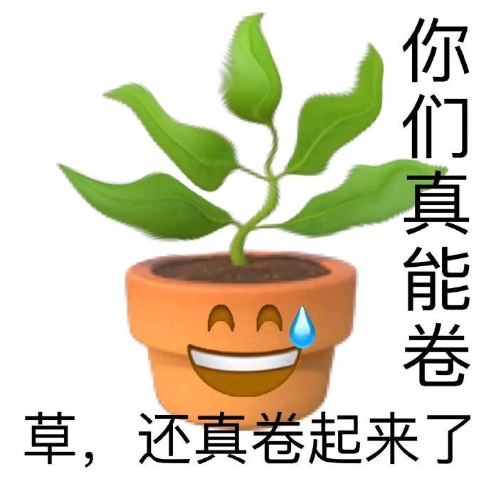 大学竞赛资料库