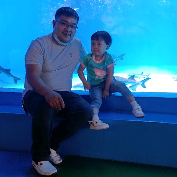 巧家纯黄牛肉销售