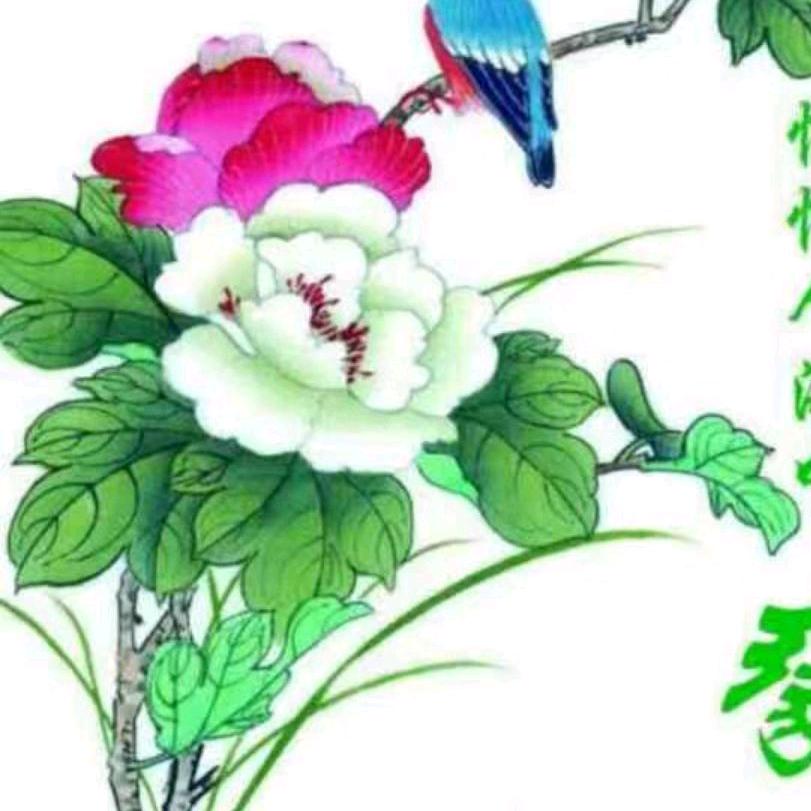 岁月静好131