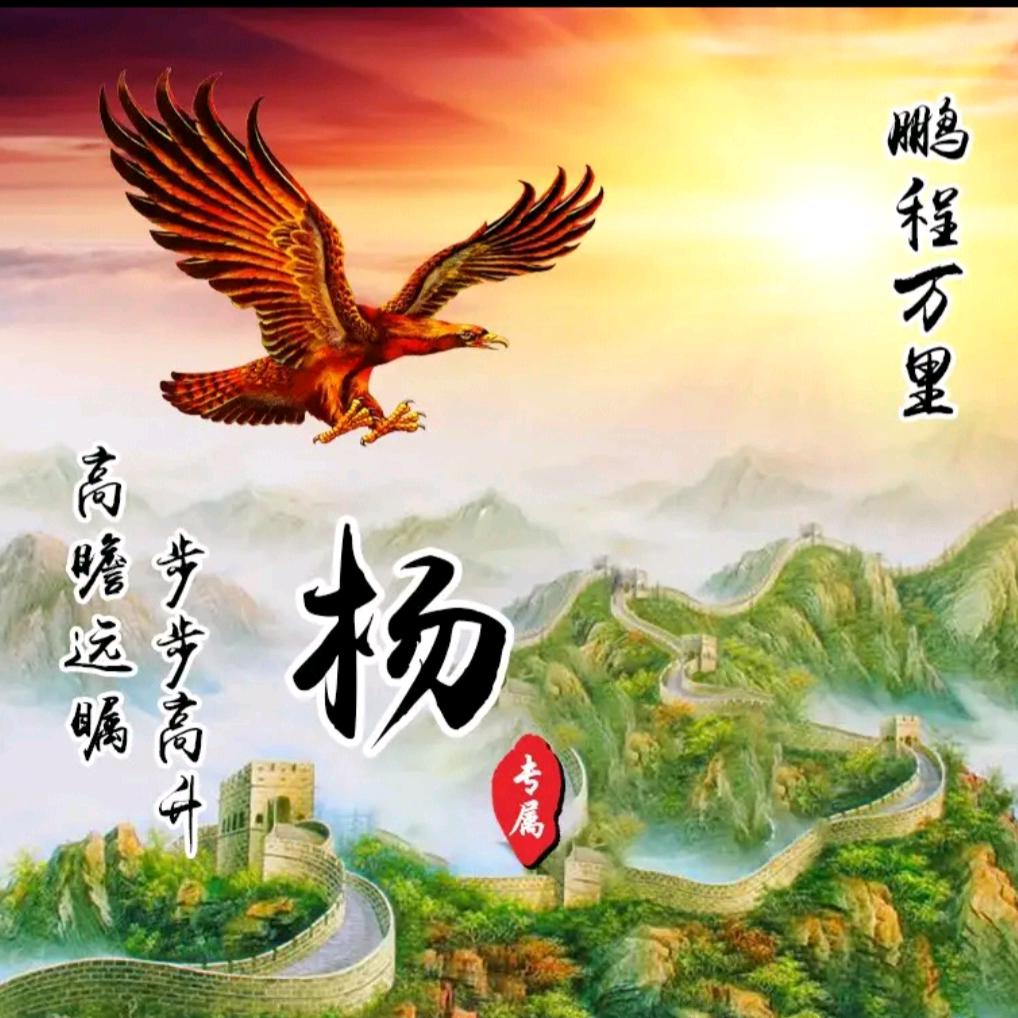 飞翔