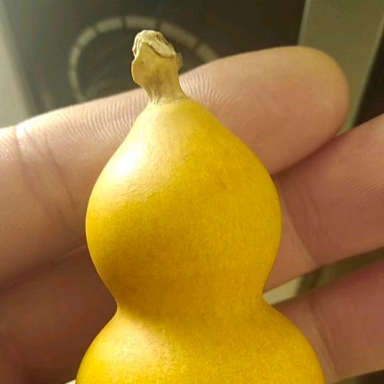 ℒøṽℯ富丽堂黄ꦿ໌້࿐໌້ᮨ