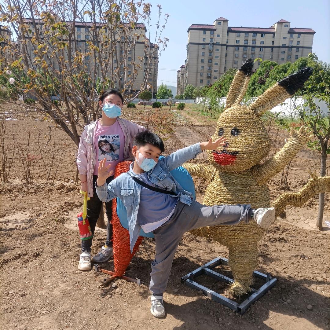 铝合金门窗批发  定做