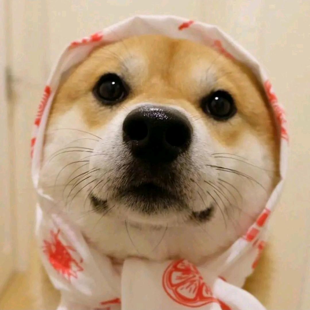 愿为临江仙
