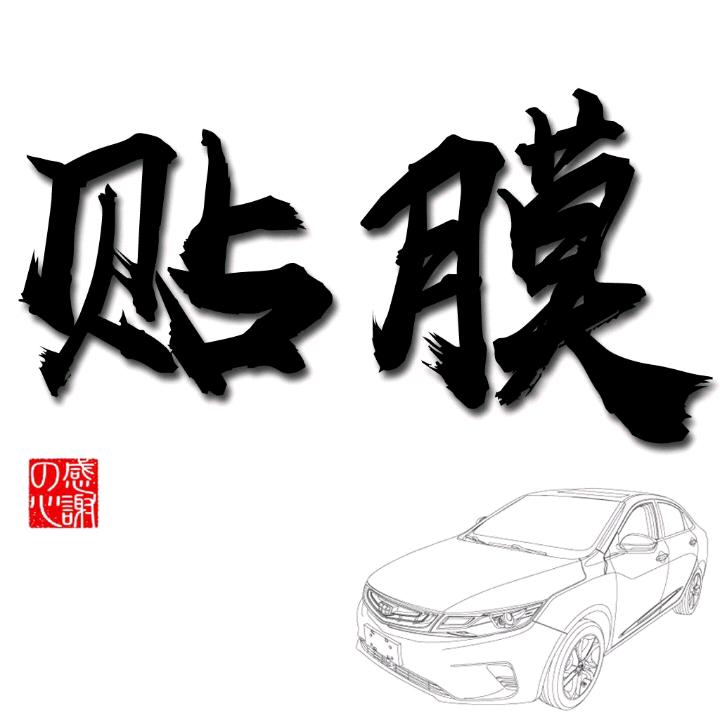 亮仔贴膜-纳尔汽车保护膜