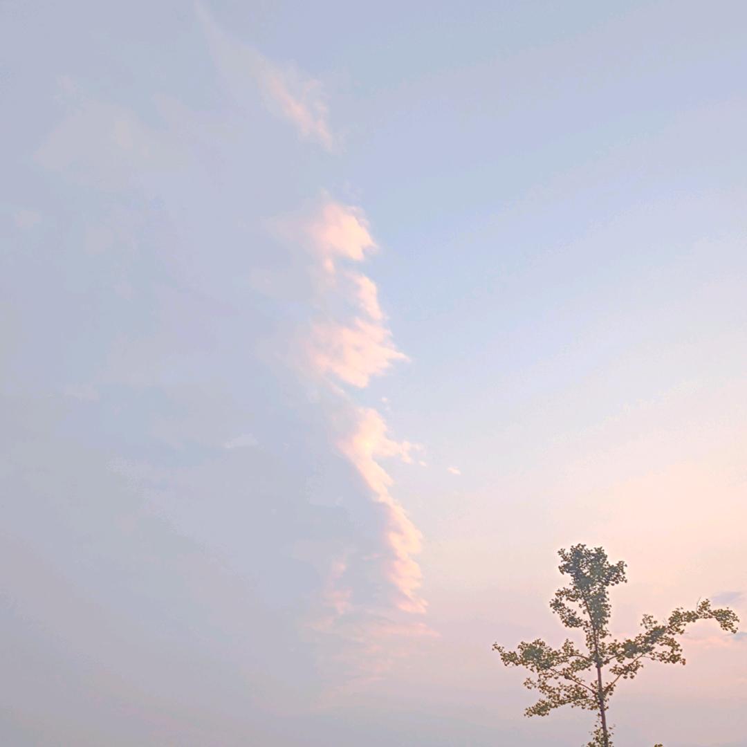 禹