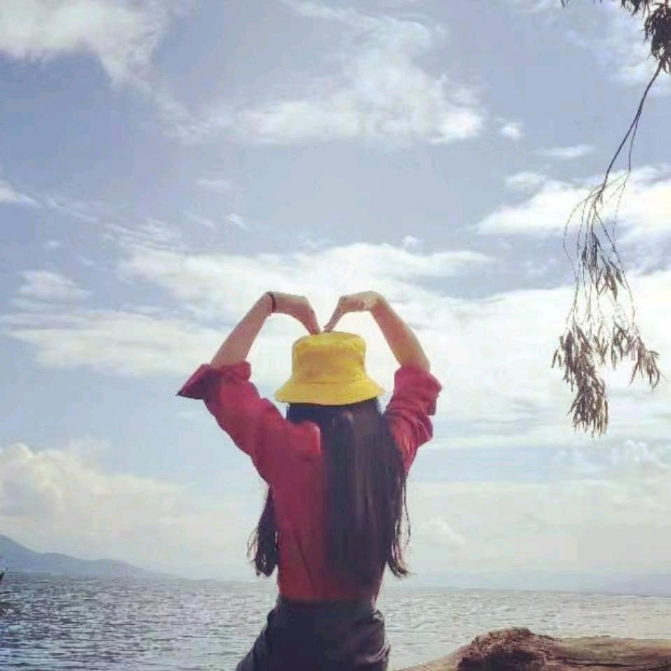 安静甜美一支花