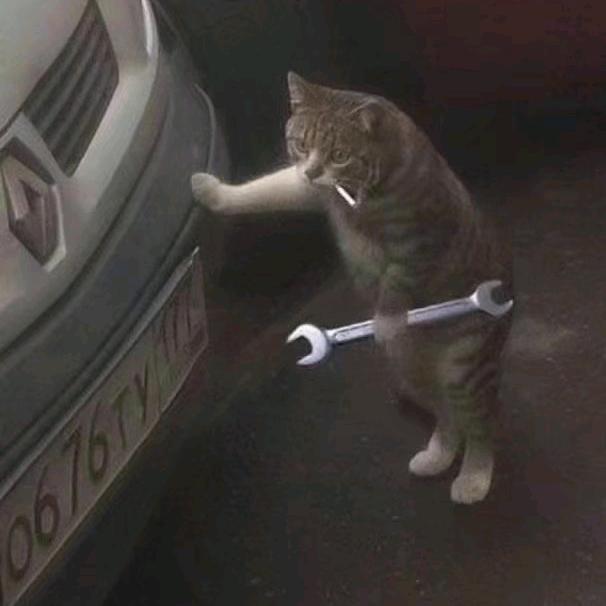 凤临