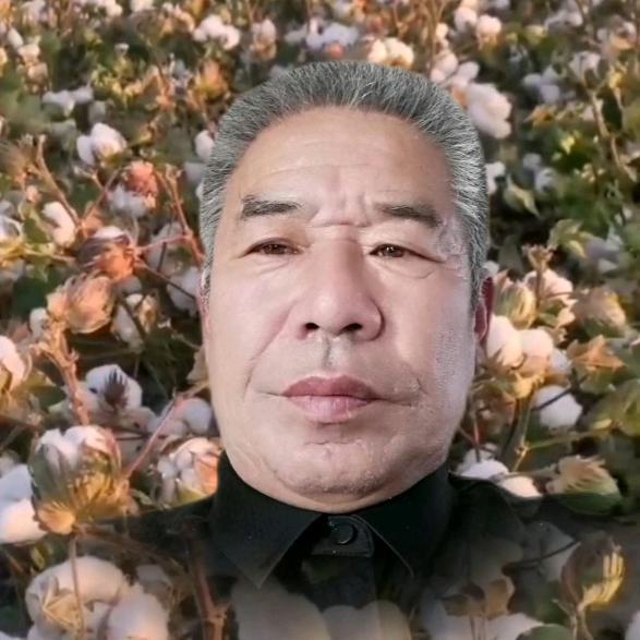 老朱