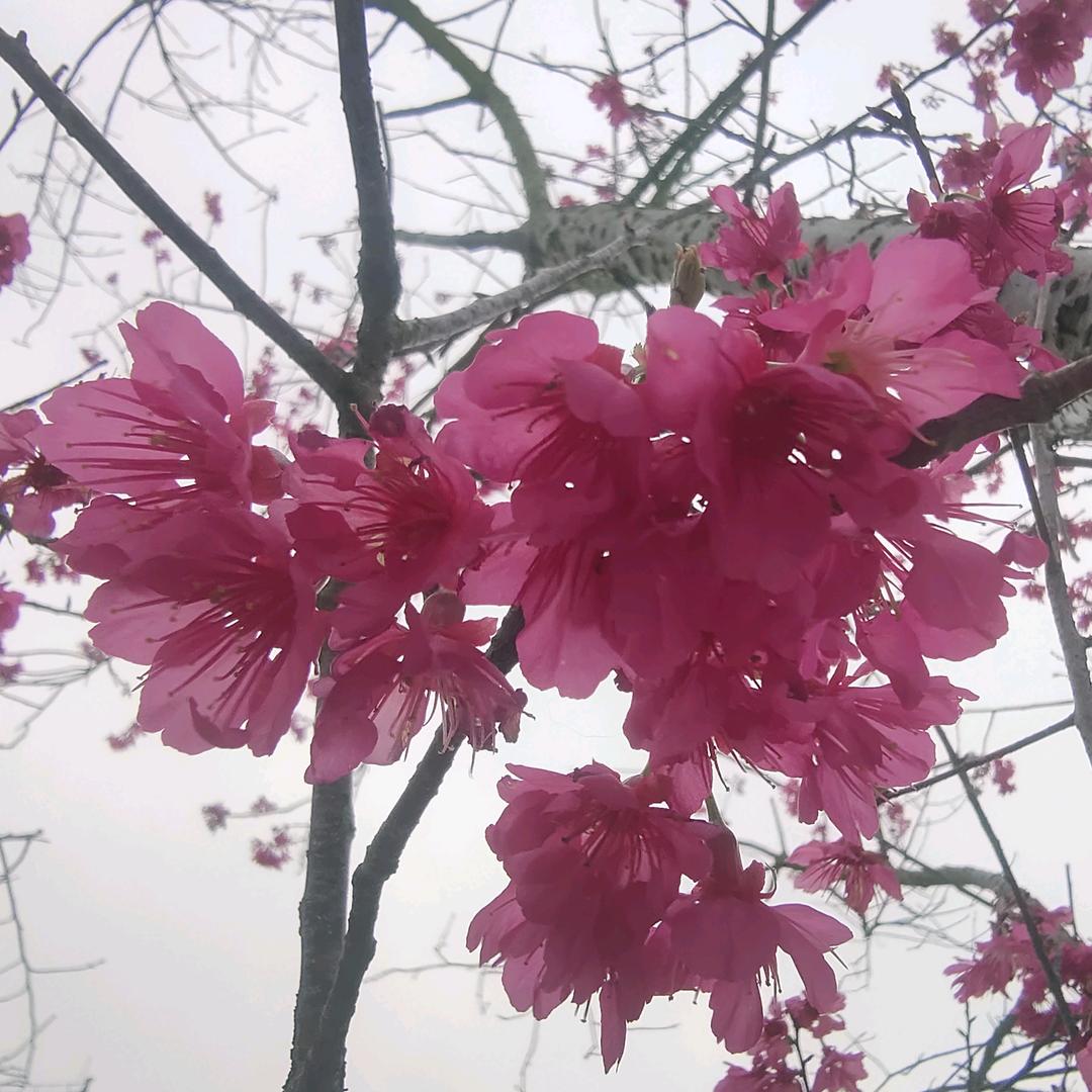 福家喜乐