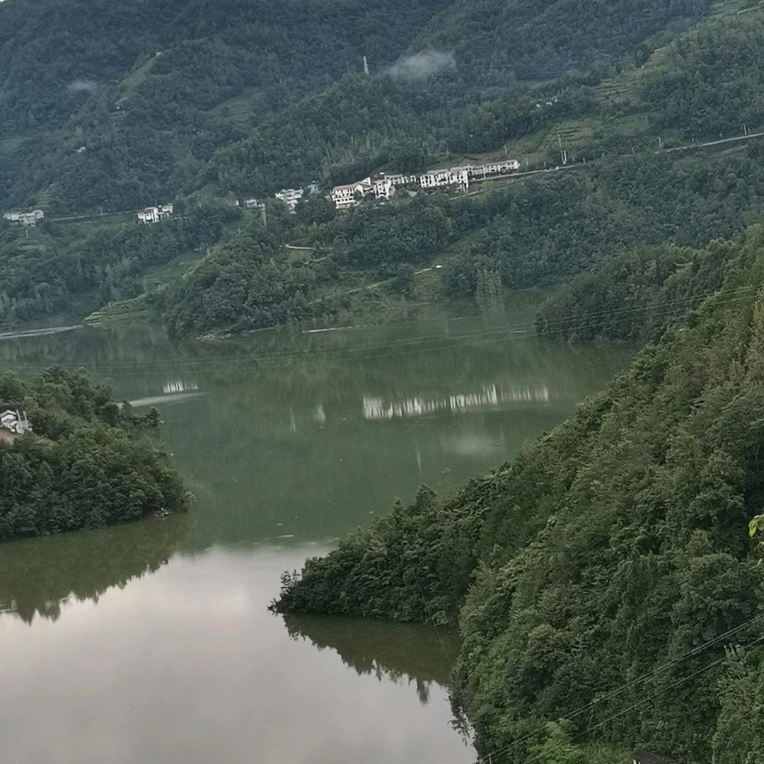 🌹随遇而安