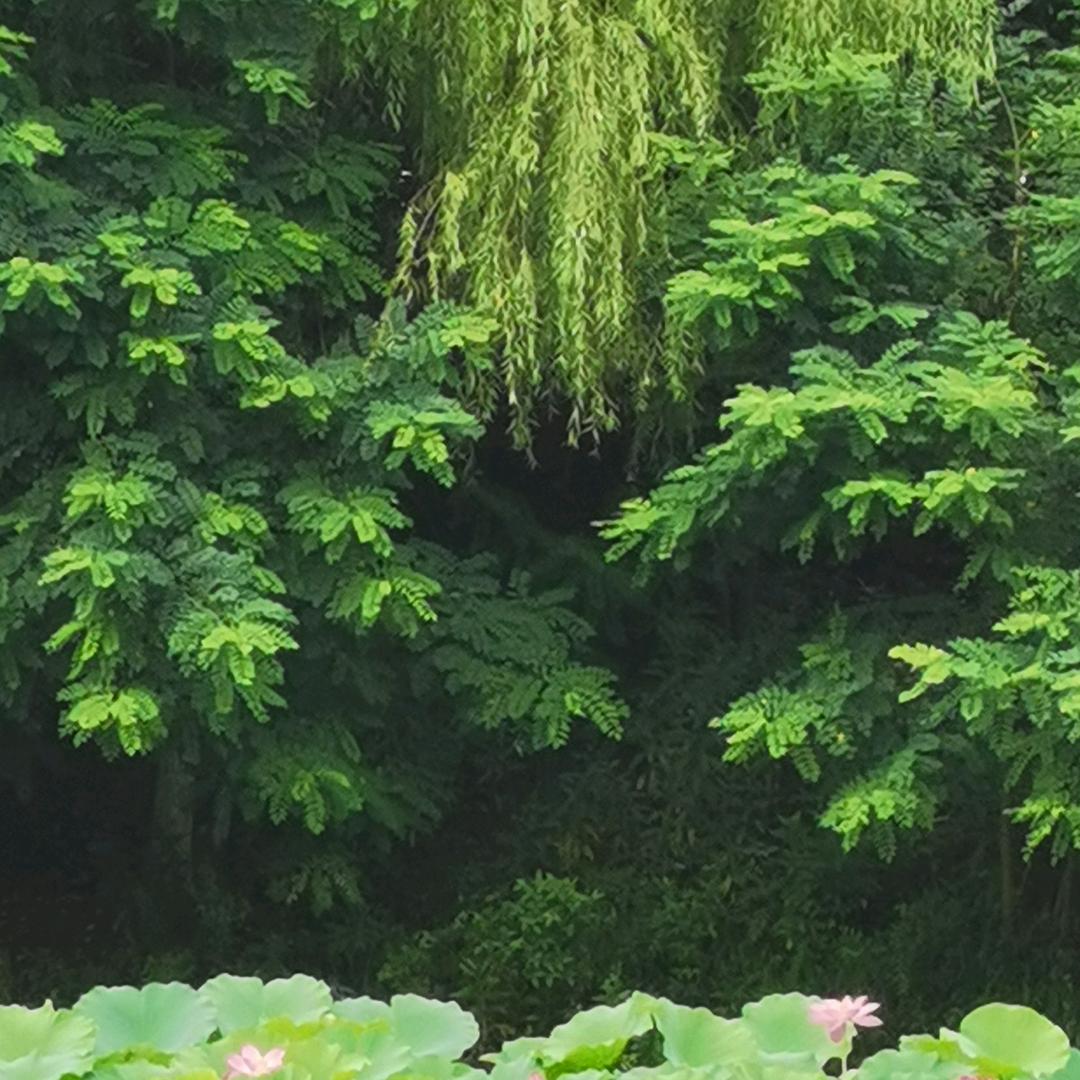 用户未来可期