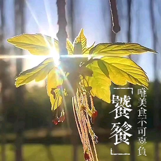 古诗玉首
