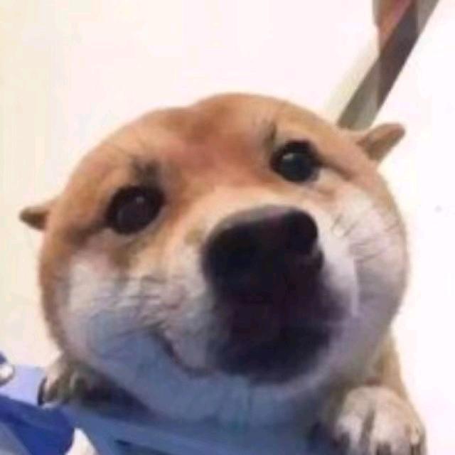 心若向阳🌸自开
