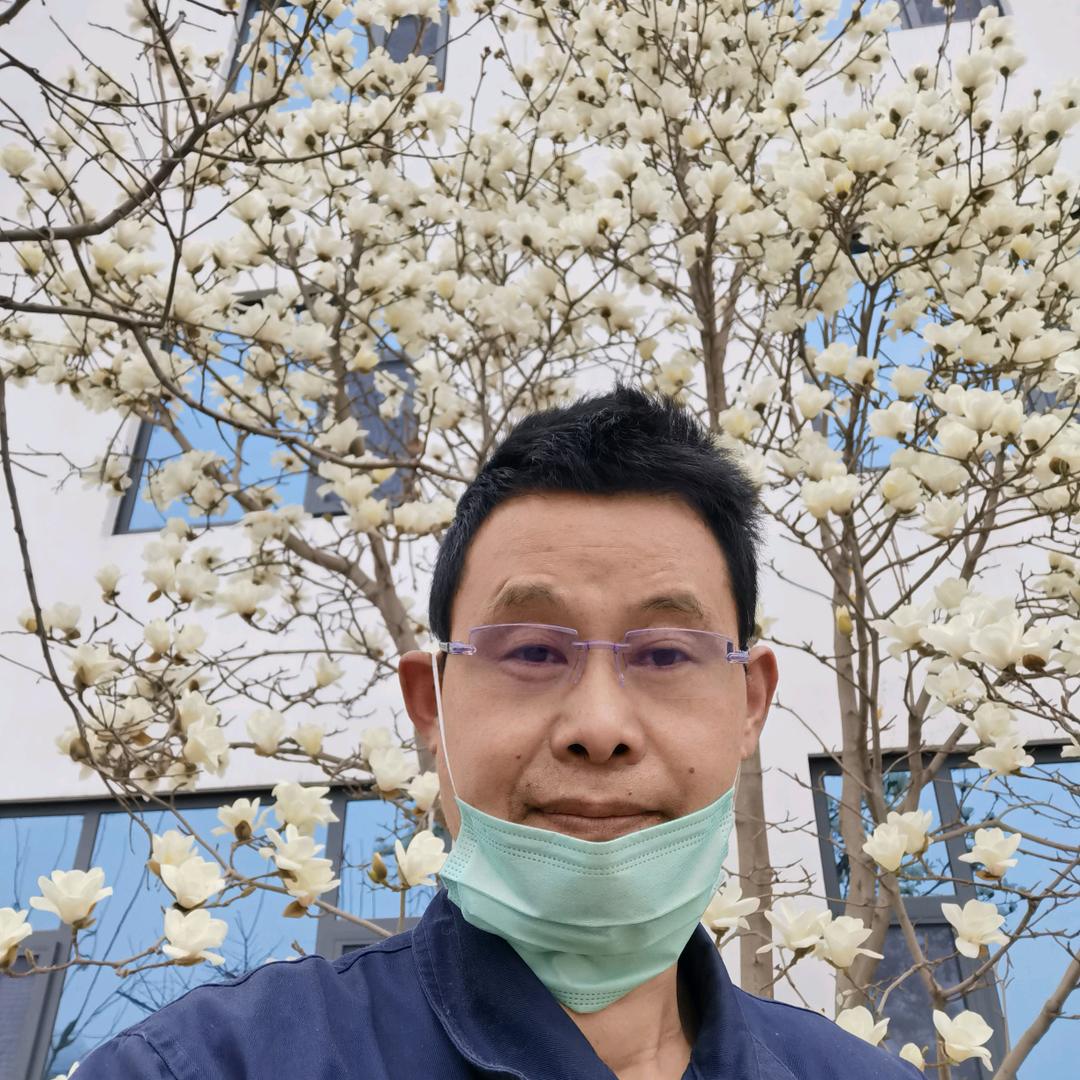 窦新村头像