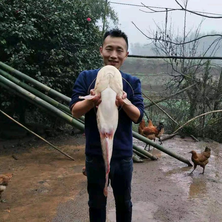 蜀乡有点料