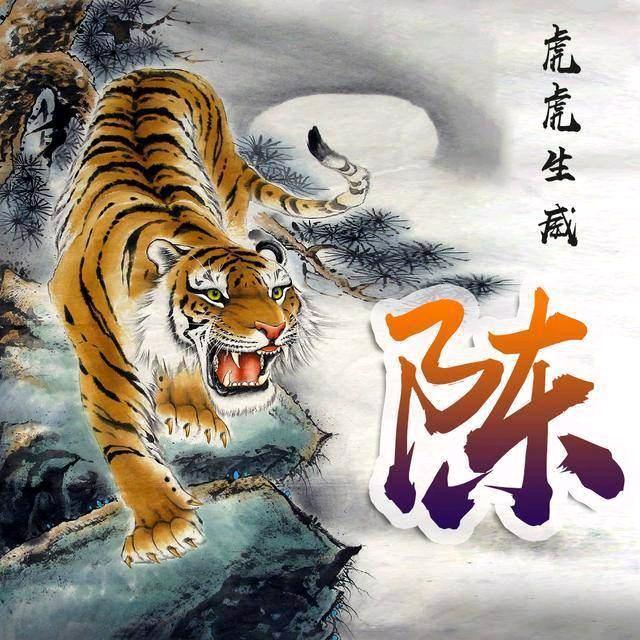 小老虎🐯！