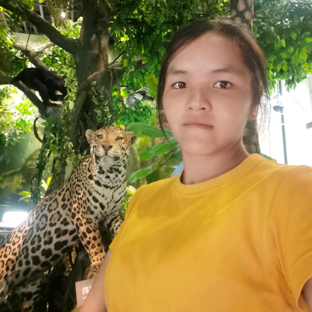 木工幺妹(拒绝私聊)