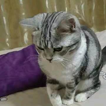 唯一