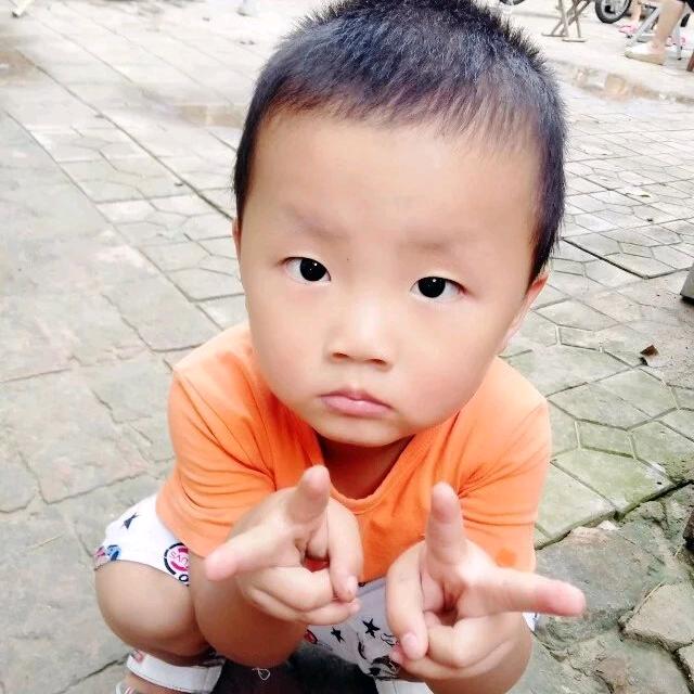 TCL(成武店)新华