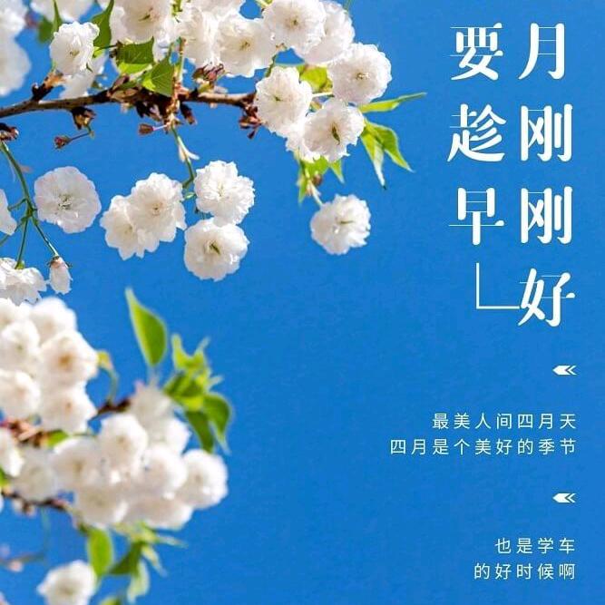 红旗驾校科三张朋刚