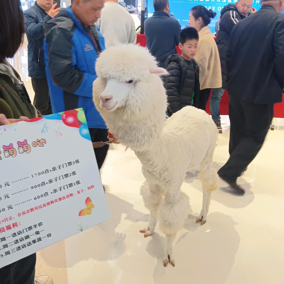 我看透你的心