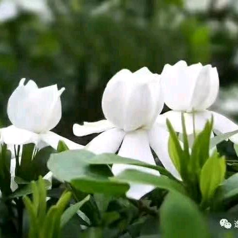 物资回收！铜 铝 铁